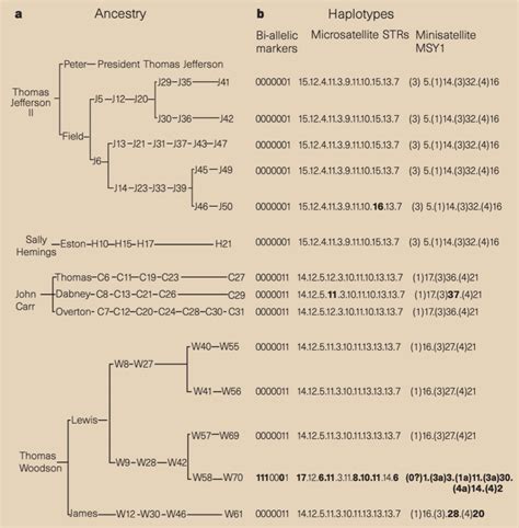 thomas jefferson dna test results